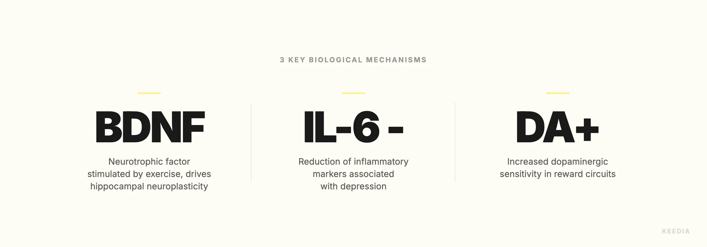 three-stats-mecanismes-biologiques