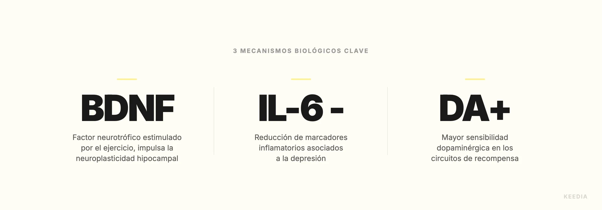 three-stats-mecanismes-biologiques
