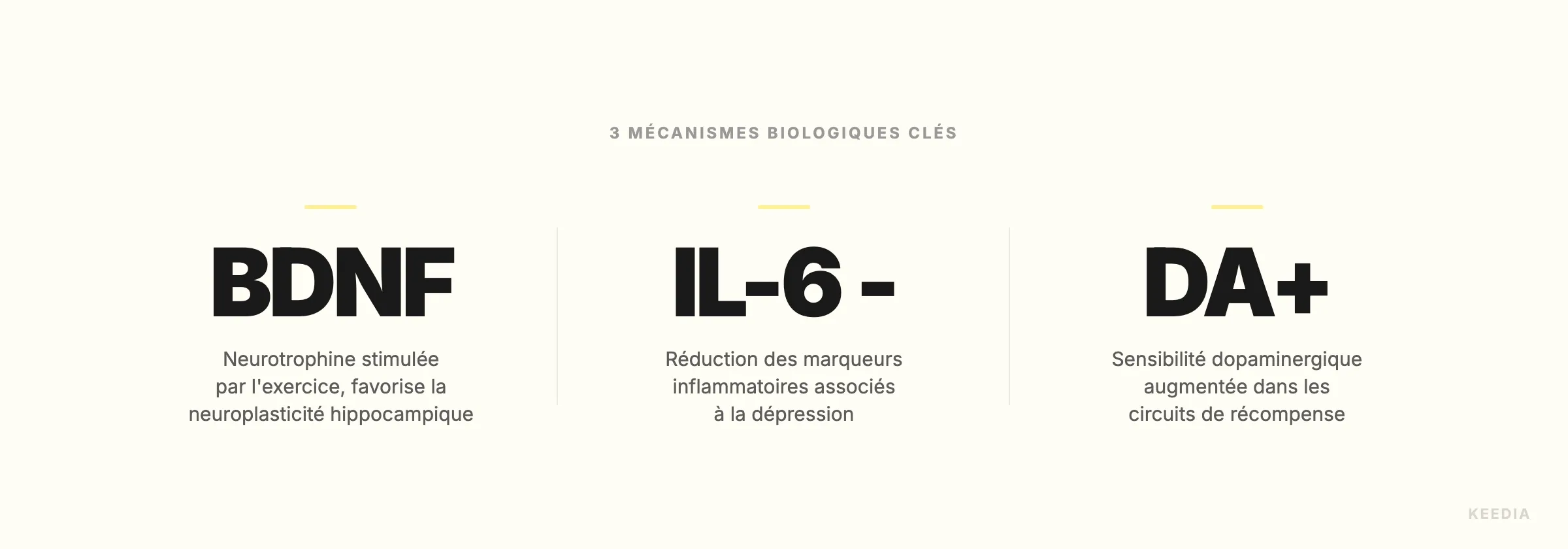three-stats-mecanismes-biologiques