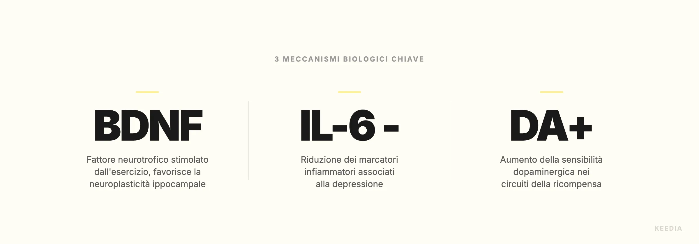 three-stats-mecanismes-biologiques